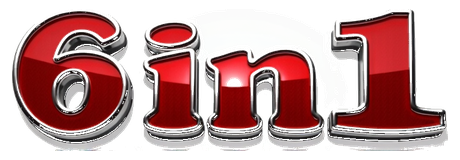6in1 logo